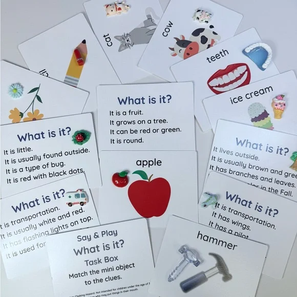 Preschool Activity Set with Mini Objects – 16 Learning Activities Case